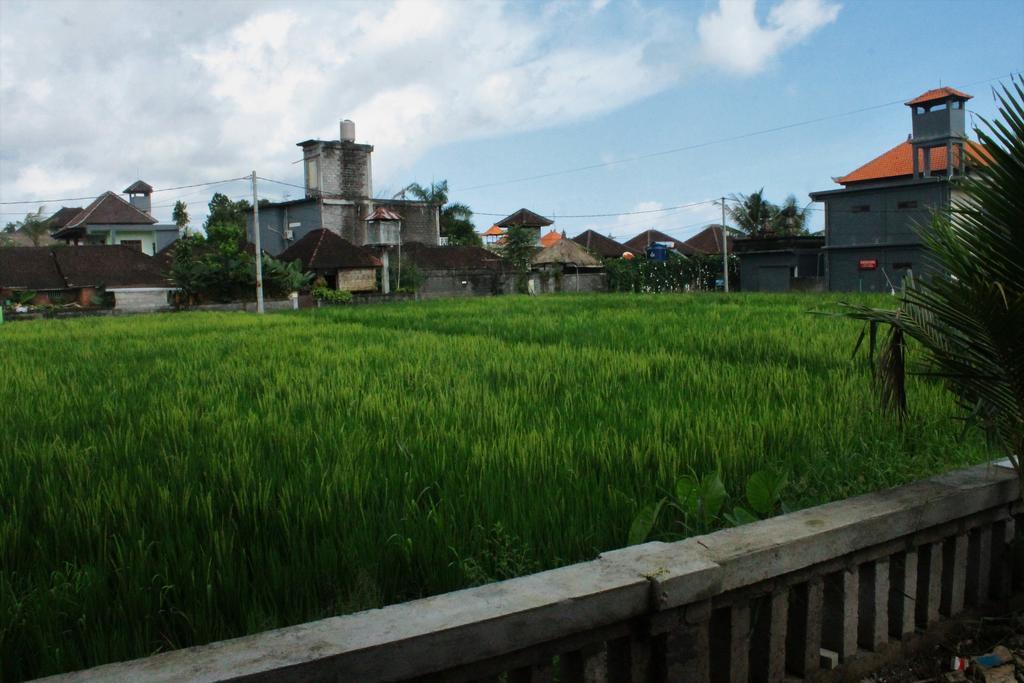 Cenik House Ubud Zewnętrze zdjęcie